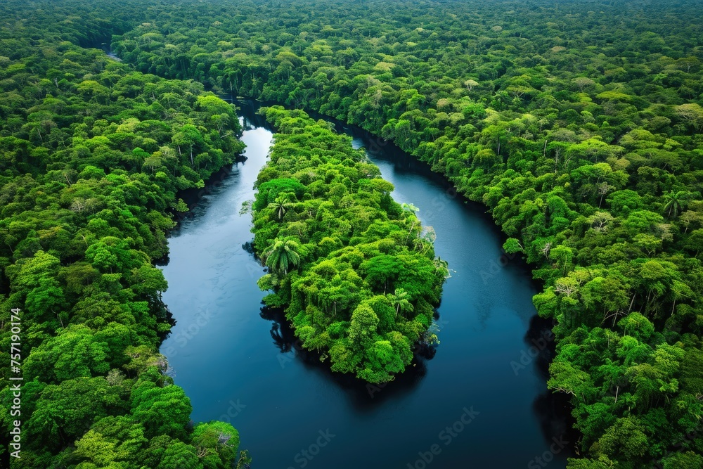 A river gracefully winds its way through a vibrant green forest, A river winding through a lush rainforest, AI Generated