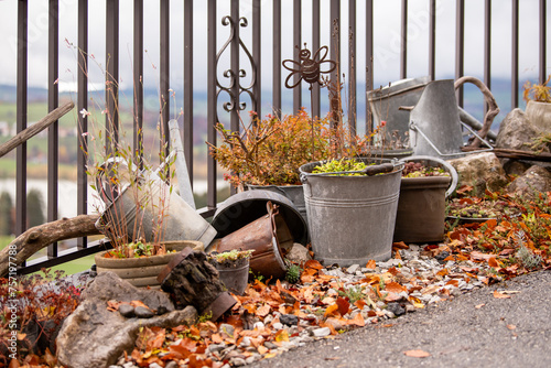 autumn in the garden