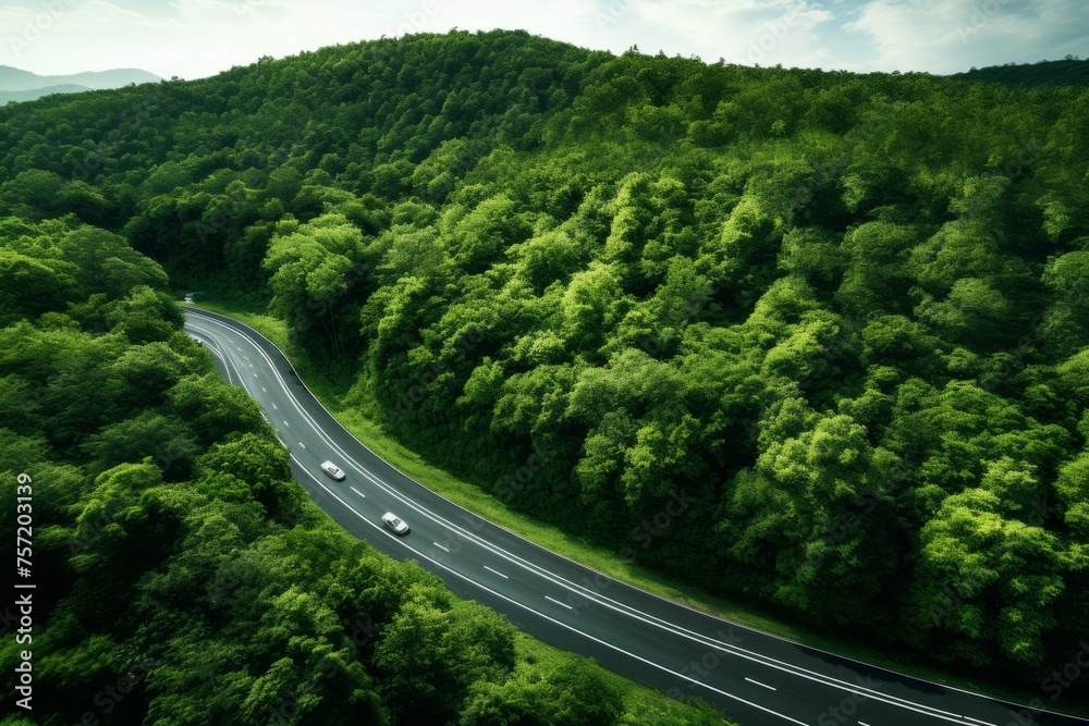 aerial shot of speeding cars on a curving road within a leafy forest
