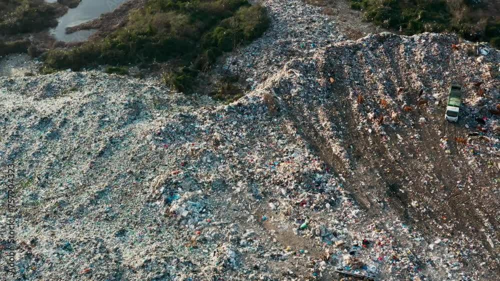 Aerial view of garbage truck unload pile of waste at landfill with cows. Dump of unsorted waste garbage pile in trash dump. Environmental pollution and ecological disaster. View from drone Aerial view of garbage truck unload pile of waste at landfill with cows. Dump of unsorted waste garbage pile in trash dump. Environmental pollution and ecological disaster. View from drone
