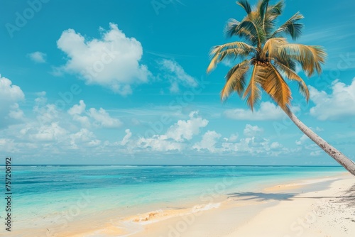 Beautiful seascape tropical beach with yellow sand and palm tree leaning towards turquoise water of ocean on bright hot sunny day. Blue sky with clouds. Summer vacation.