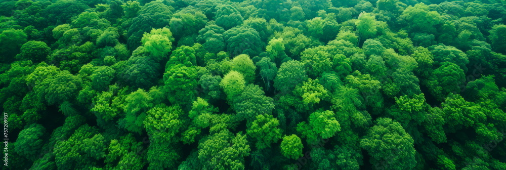 Aerial view of lush forest canopy Earth Day. highlighting the importance of preserving our natural habitat. Generative AI