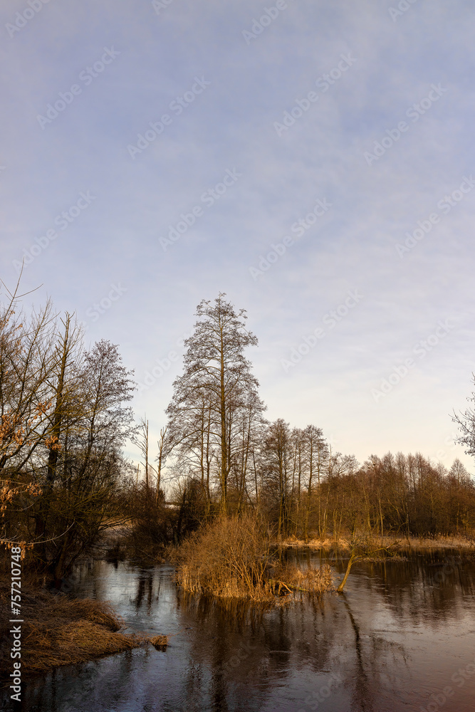 winter without snow and a river in a forest with bare trees