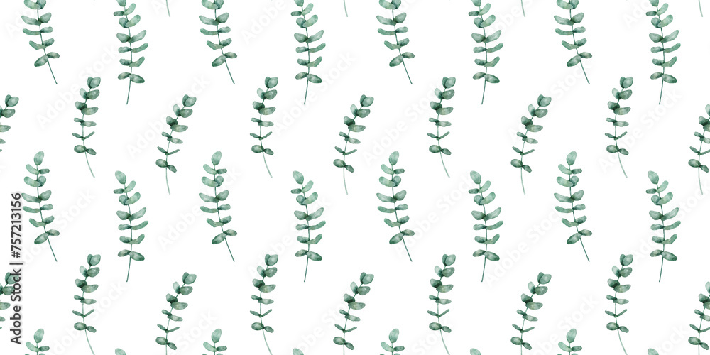 Fototapeta premium Seamless floral pattern with hand drawn watercolor eucalyptus branch plant isolated on white. Repeat botanical background with green leaves.