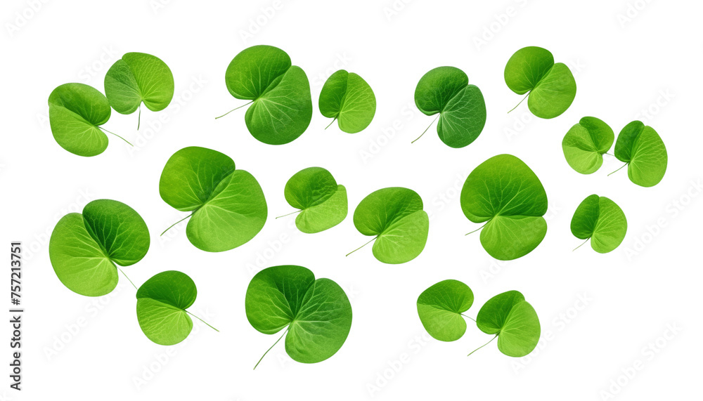 flying green leaves isolated on transparent background cutout flying green leaves isolated on transparent background cutout