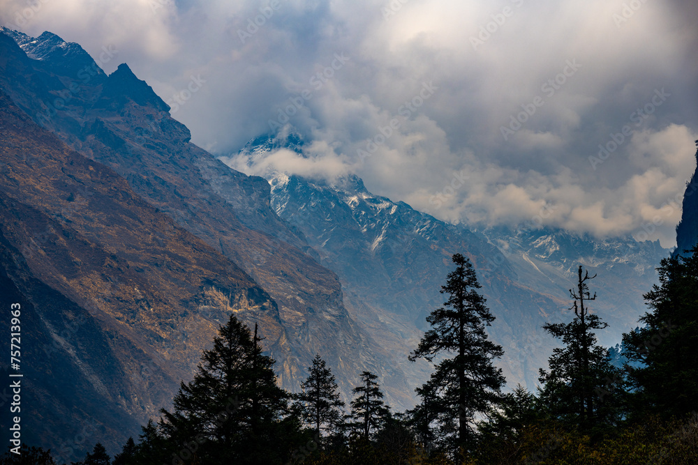 Obraz premium Mystic Clouds Over Peaks and Pines on the Langtang Trek from Lama Hotel to Mundu, Nepal