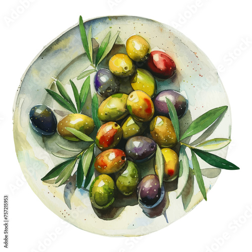 Watercolor olive berries. Olive tree fruits with leaves. Hand watercolor. Vector illustration. photo