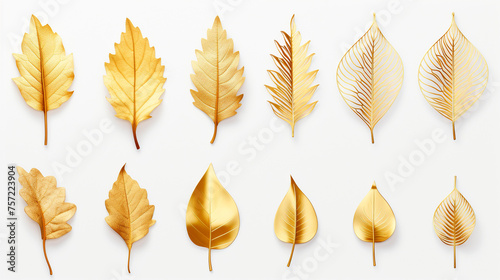 gold leaves on white background.