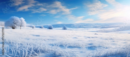 A natural landscape with a snowy field, trees in the background, and the sun shining through the clouds, creating a picturesque winter scene