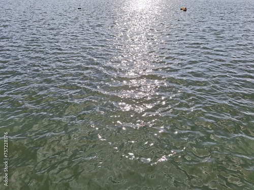 water ripples in the water © FARYAL