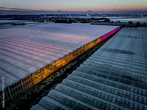 Sunset hues bathe the expansive greenhouse complex in a warm glow. photo