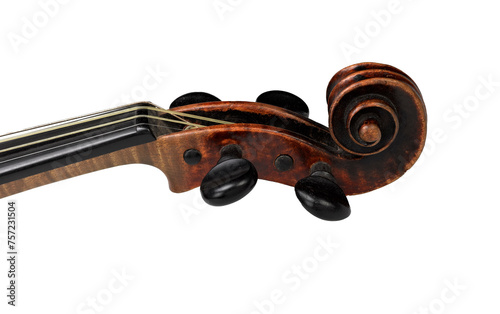 Head of classical violin on white background photo