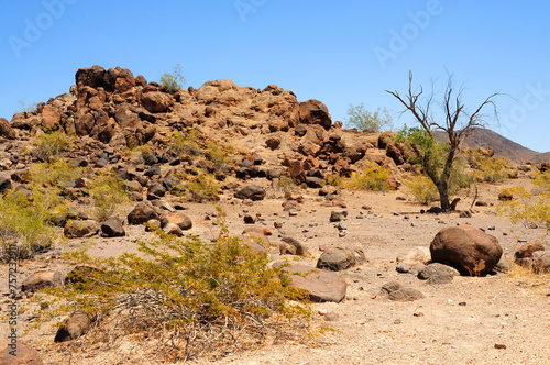 Central and Bleak Sonora Desert Arizona