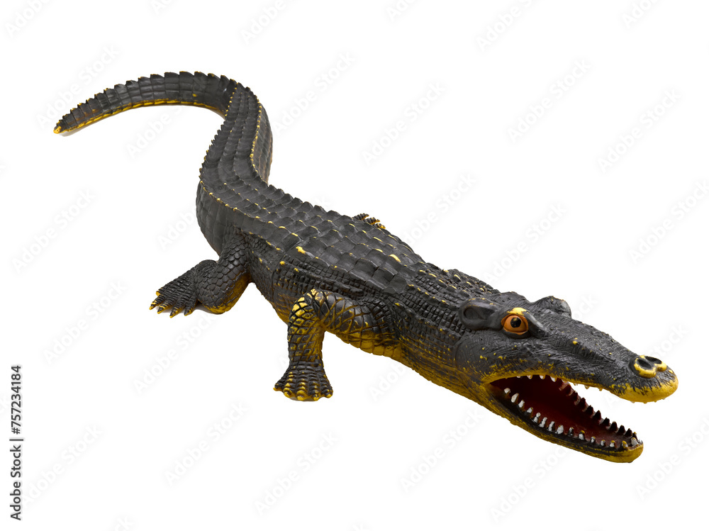 Crocodile on White Background