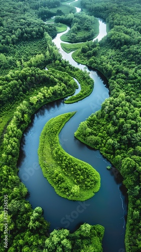 The serenity and untouched beauty of nature are highlighted in a breathtaking aerial shot, showcasing a meandering river carving through dense forest to create a natural island.