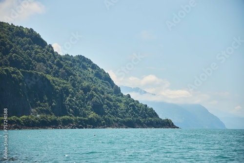 The coast of the sea or ocean with a rock. The mountain is covered with forest and plants.