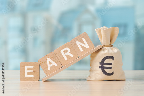 Image showcasing a money bag with a Euro symbol and wooden blocks spelling Earn, concept of earning money