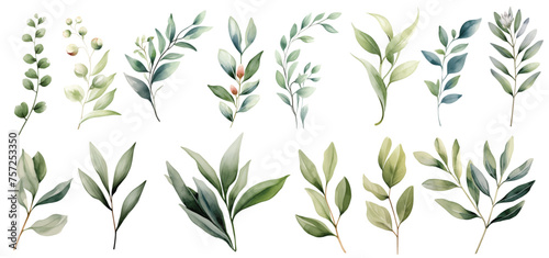 watercolor set of green leaves and branches illustration