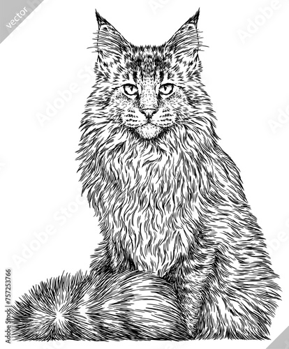Vintage engraving isolated cat set illustration kitty ink sketch. Pet background kitten silhouette whisker art. Black and white hand drawn vector image