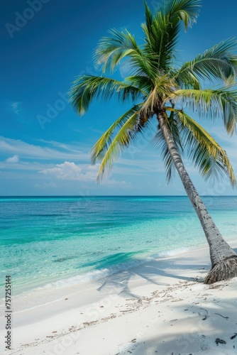 White sand beach and crystal clear water with coconut tree, tropical paradise, summer.