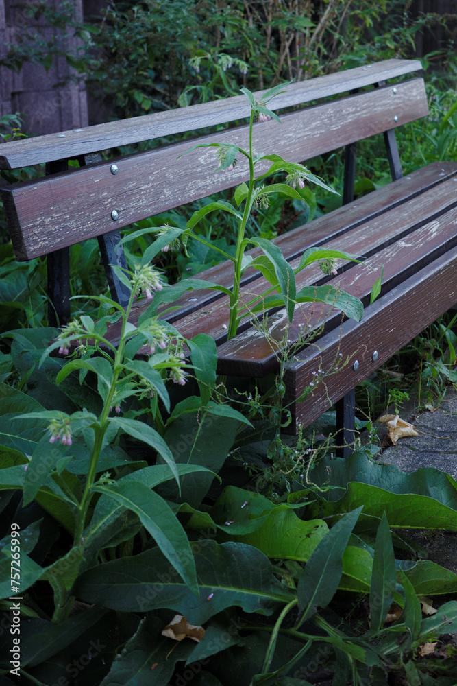 Naklejka premium Pflanzenbank