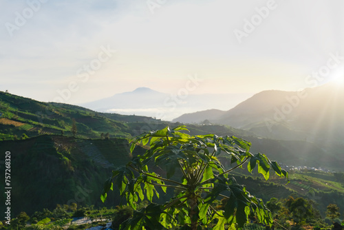 Bright morning sunrays showering the hills of Dieng area, Wonosobo, Indonesia photo