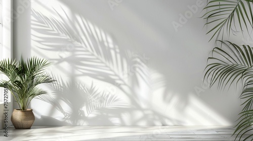 Natural Elegance  Clean White Wall with Tropical Palm Tree Leaf Shadow - Perfect Mockup for Advertising