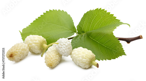 Fresh white mulberry fruit with leaves isolated on white, Transparent PNG photo