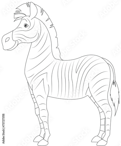 Zebra Coloring book page for kids