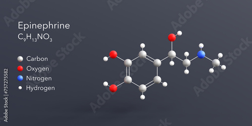Fototapeta Naklejka Na Ścianę i Meble -  epinephrine molecule 3d rendering, flat molecular structure with chemical formula and atoms color coding