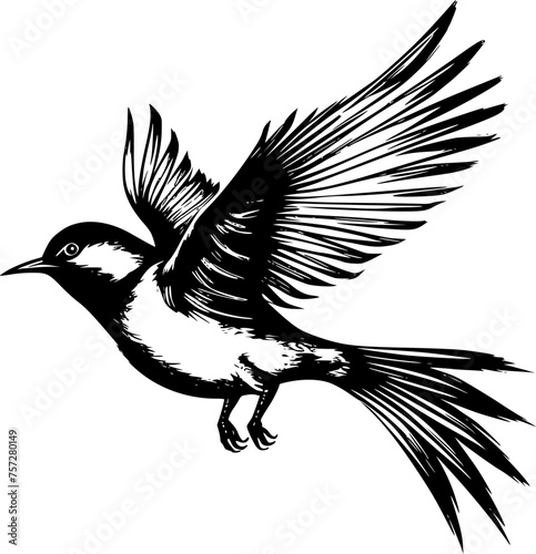 Bird | Minimalist and Simple Silhouette - Vector illustration