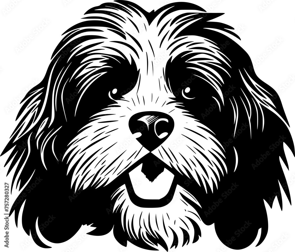 Havanese - Black and White Isolated Icon - Vector illustration