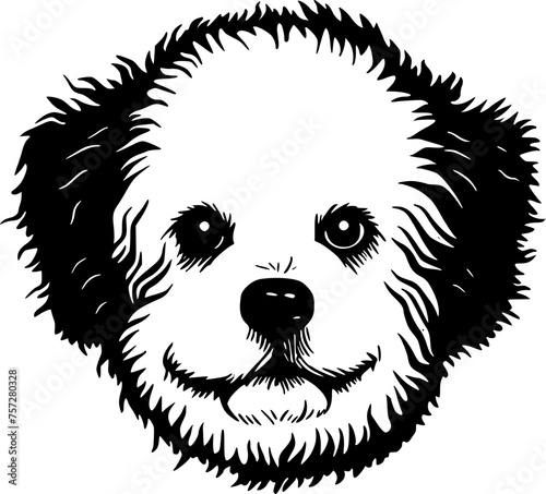 Bichon Frise | Minimalist and Simple Silhouette - Vector illustration photo