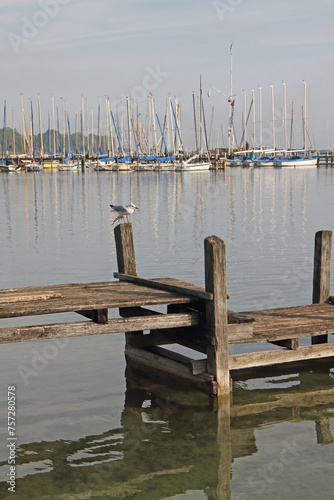 a jetty on Lake Ammersee in Bavaria with sailing boats and a seagull