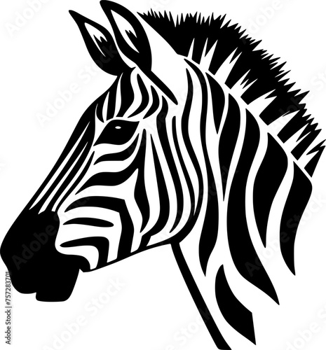 Zebra   Black and White Vector illustration