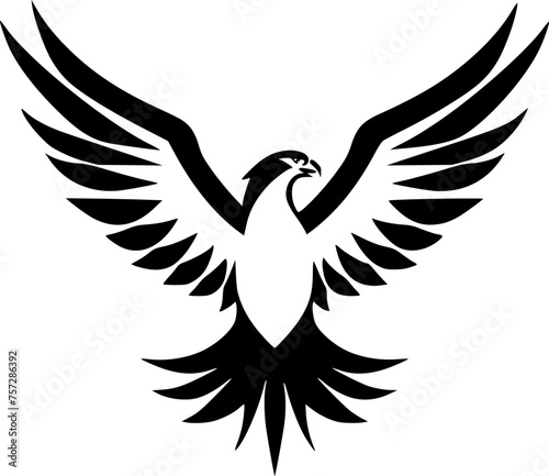Eagle | Black and White Vector illustration photo