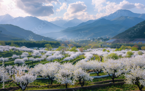 Sichuan Jinchuan pear blossom scenery,created with Generative AI tecnology. photo