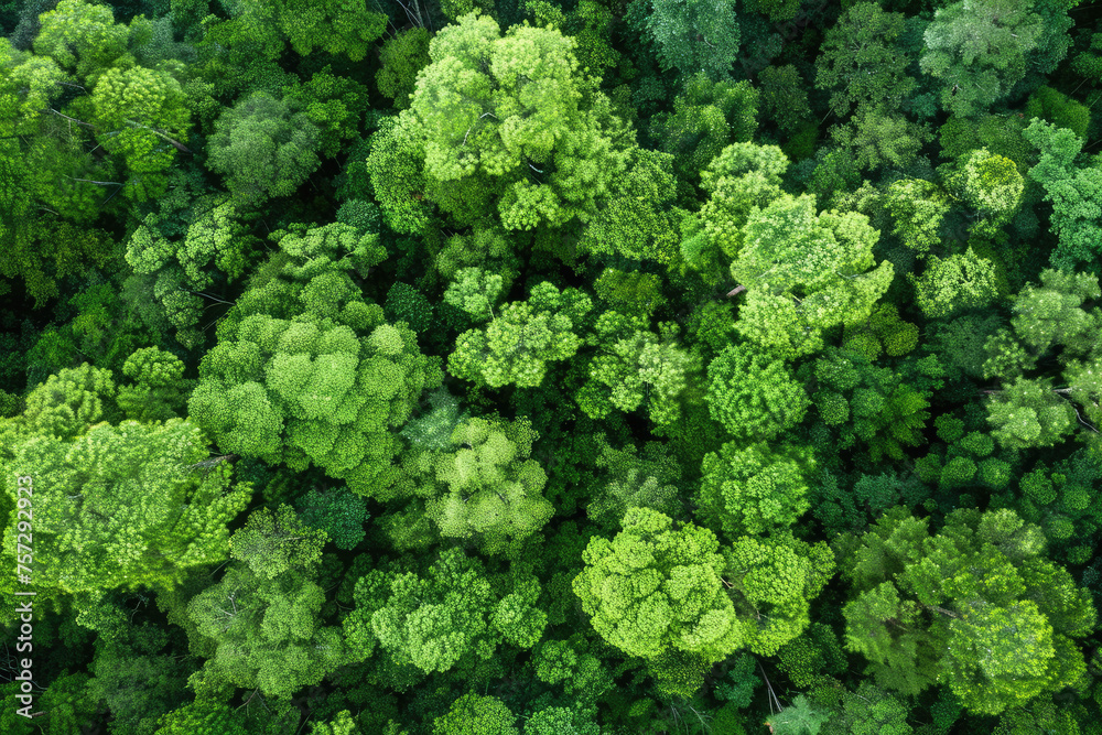 
 Save to Library
 Download Preview Preview Crop
 Find Similar
 
FILE #:  678187191
Aerial top view of green trees in forest. Drone view of dense green tree captures CO2. Green tree nature background 