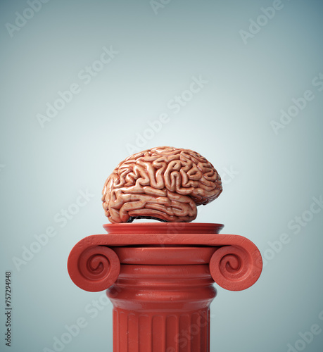 Brain on the Roman column suggesting the concept of personal development and knowledge support.