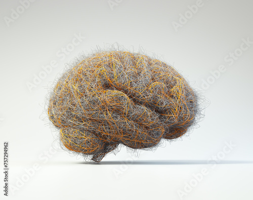 Brain filled with wires suggesting the complexity of the human mind or brainstorm.