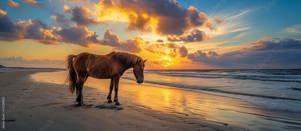 Horses are on the beach at sunset