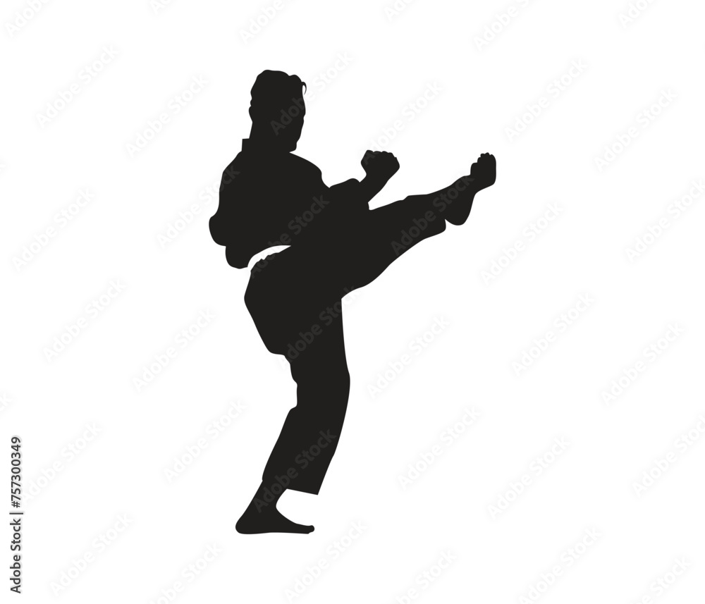  vector hand drawn karate or  martial arts  silhouette set