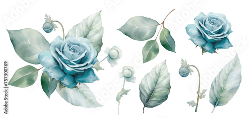 Set watercolor blue roses floral roses bouquet. Wedding concept a white background