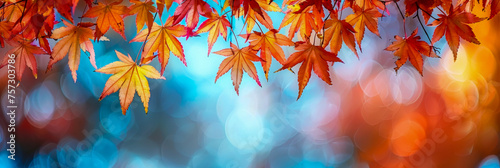 A radiant display of maple leaves in autumn hues  with a warm  g