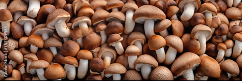 Shiitake mushrooms as background, banner, texture. Fresh raw shiitake mushrooms top view