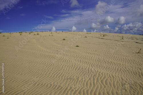 Dunes on Beberibe beach, Ceará - Brazil. photo