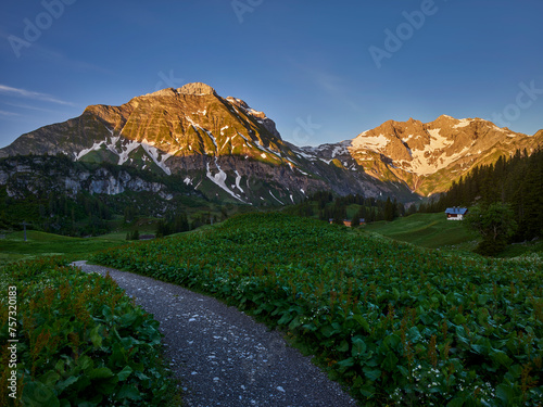 Weg zum Körbersee, Juppenspitze, Braunarlspitze, Lechquellengebirge, Vorarlberg, Österreich