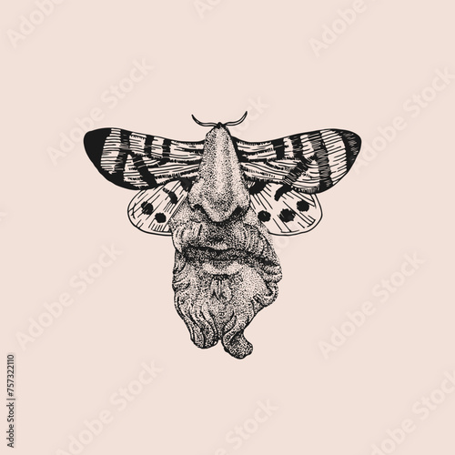 Face with butterfly wings. Spot work. Vector hand drawn illustration. Tattoo illustration, modern surreal art.