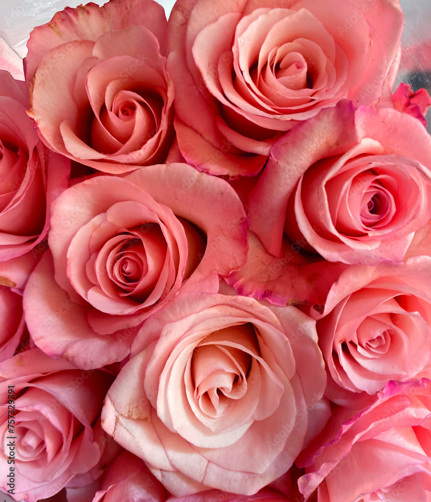 bouquet of pink roses bouquet of pink roses