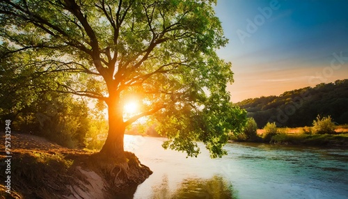 Psalm 1. Blessed be the man. He shall be like a Tree planted by the Rivers of Water.